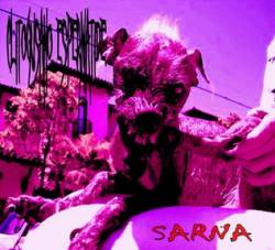 Clitogusano Espermatide : Sarna